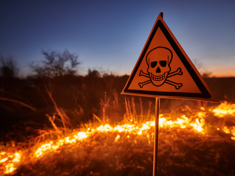 As UK business distress hits record high, which companies are in the danger zone?